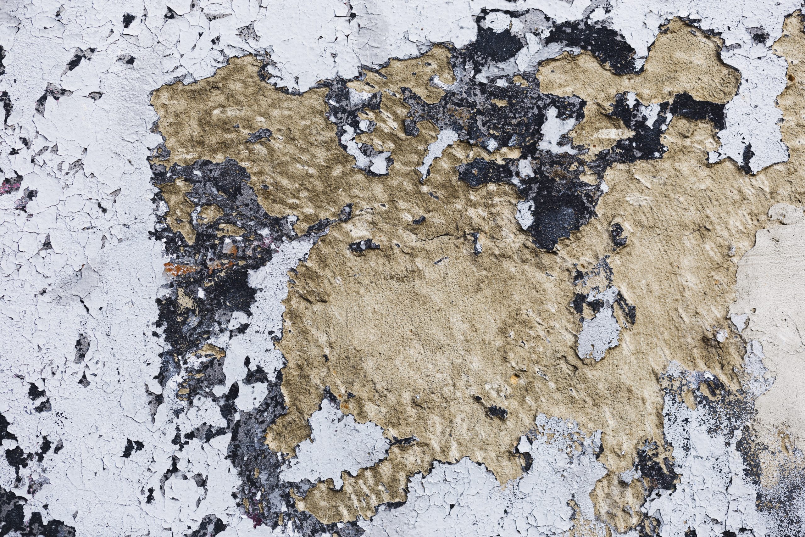 Non sopporto più le macchie sui muri: il trucco quotidiano che tiene l’umidità lontana