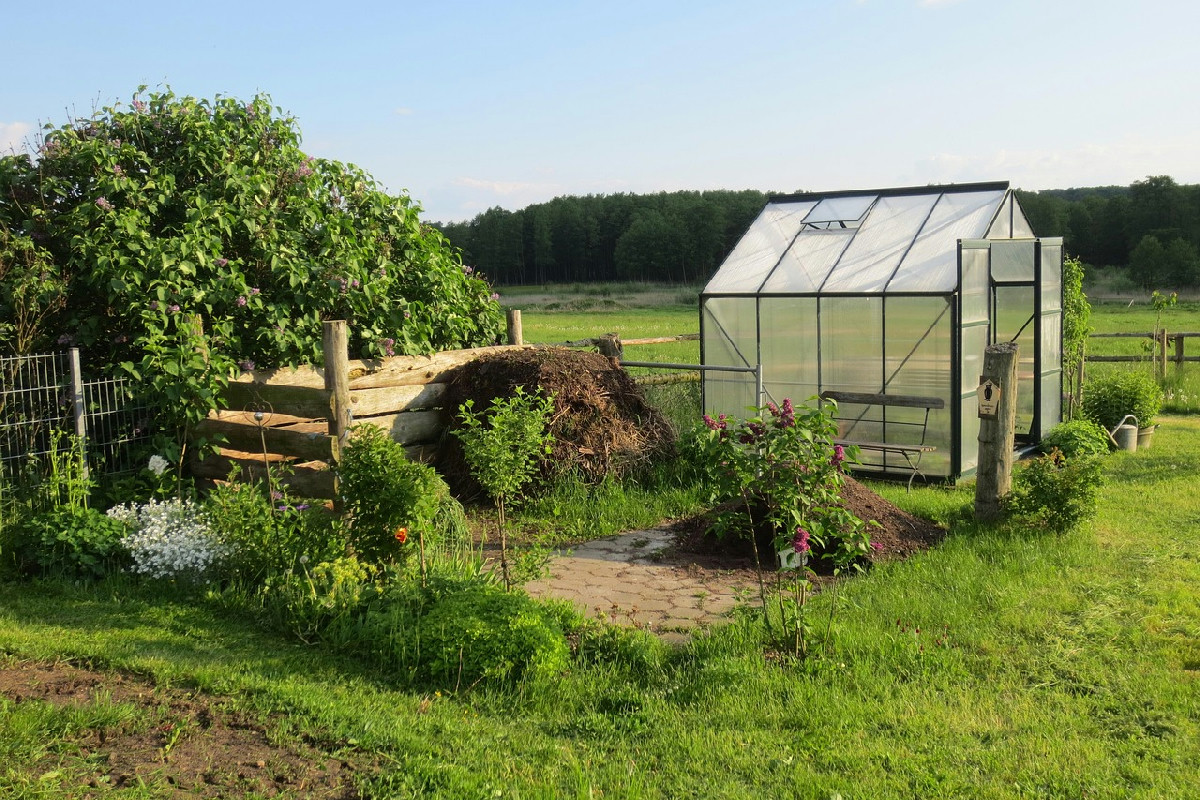 Novembre nell’orto: cosa seminare, raccogliere e come preparare le aiuole per il prossimo anno